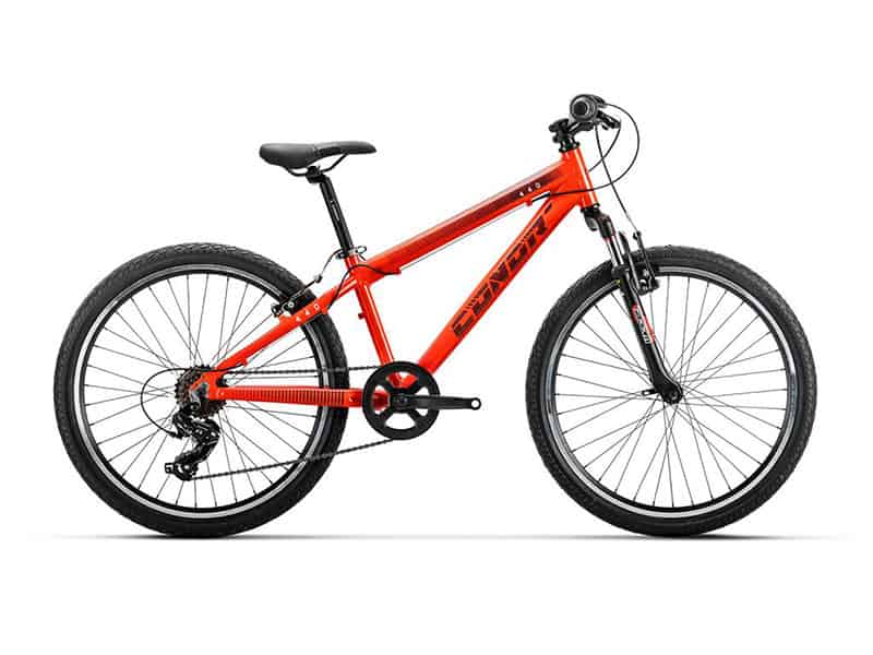 Conor 440 2025